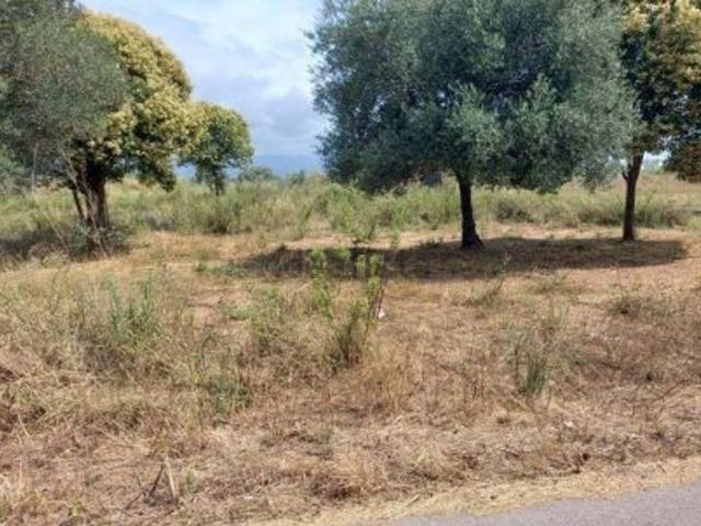 Terreno, El Grau de Castelló