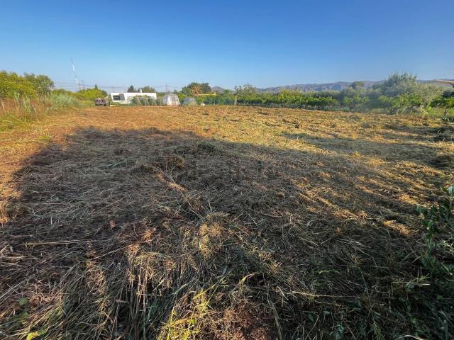 Terreno, El Grau de Castelló