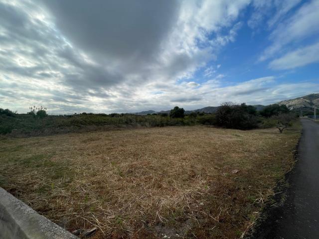 Terreno, El Grau de Castelló