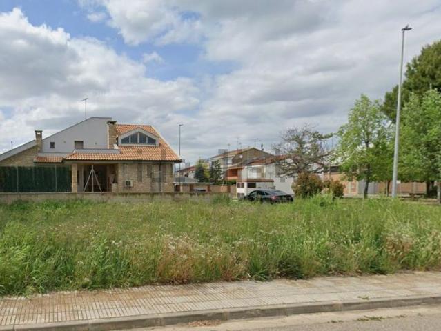 Terreno, El Palau d&apos Anglesola