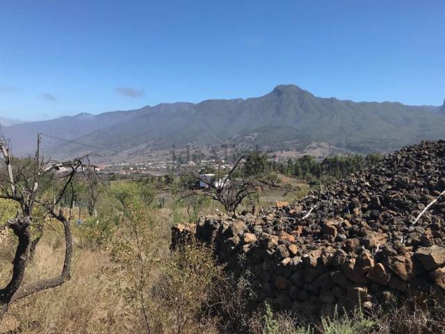 Terreno, El Paso