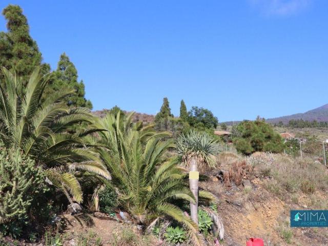Terreno, El Paso