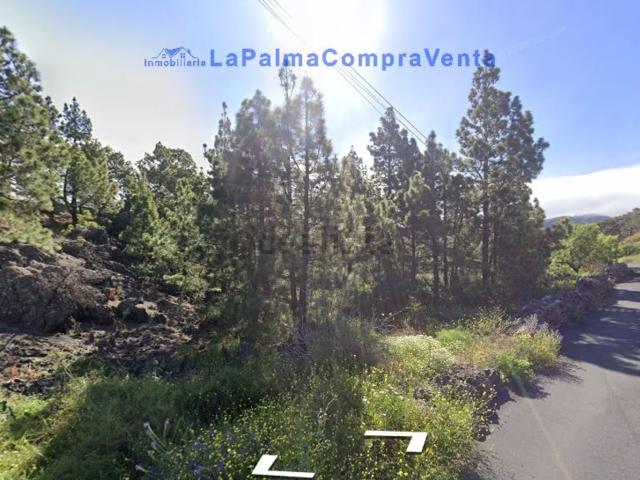 Terreno, El Paso