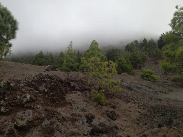 Terreno, El Paso