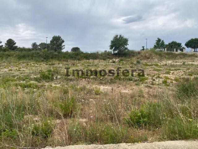 Terreno, El Perello