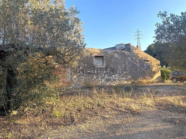 Terreno, El Perello