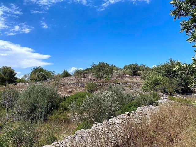 Terreno, El Perello