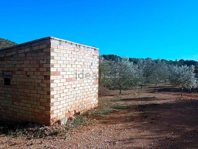 Terreno, El Perello