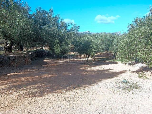 Terreno, El Perello