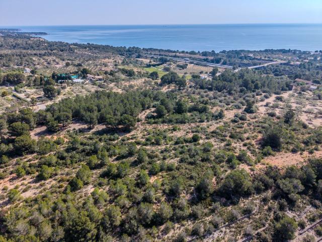 Terreno, El Perello