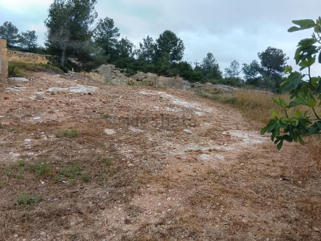 Terreno, El Perello