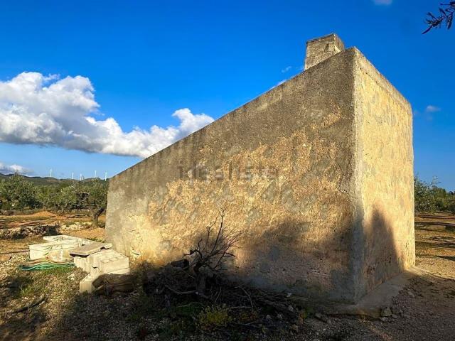 Terreno, El Perello