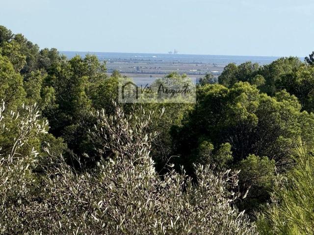 Terreno, El Perello