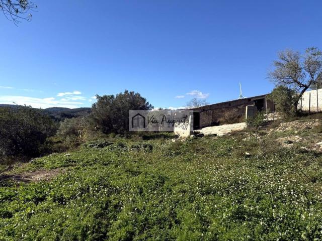 Terreno, El Perello