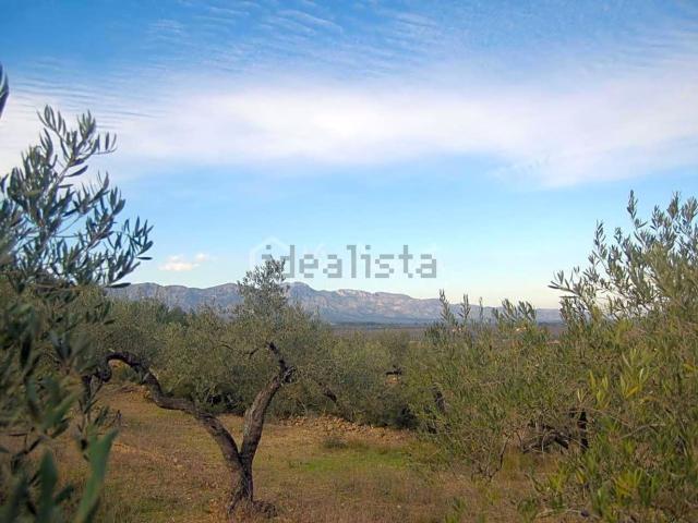 Terreno, El Perello