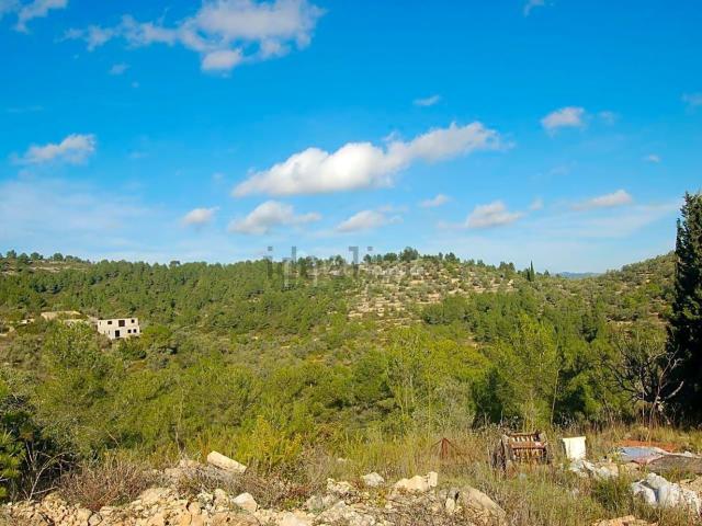 Terreno, El Perello