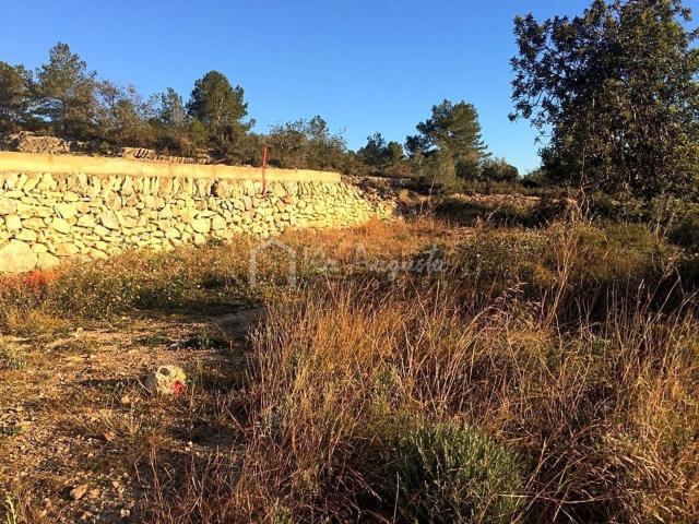 Terreno, El Perello
