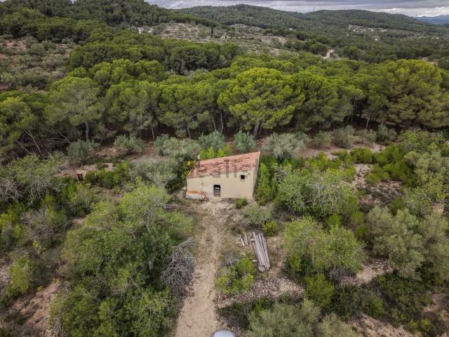 Terreno, El Perello