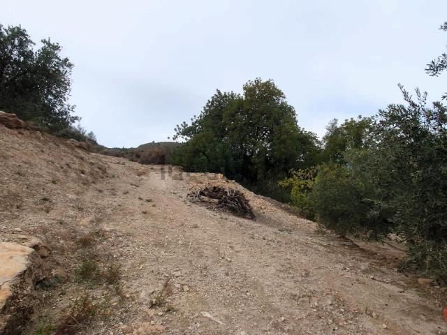 Terreno, El Pinar