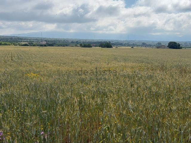 Terreno, El Pla de Santa Maria