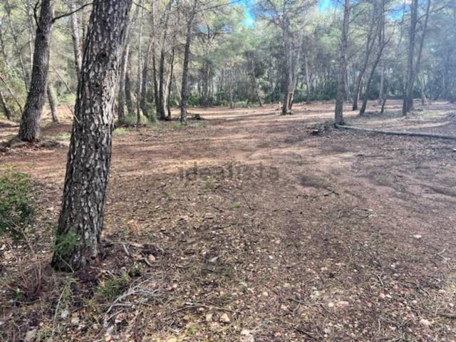 Terreno, El Pla de Santa Maria