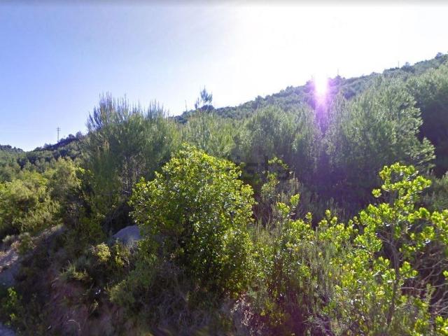 Terreno, El Pont de Vilomara i Rocafort