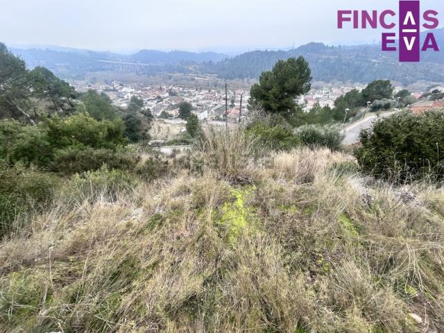 Terreno, El Pont de Vilomara i Rocafort
