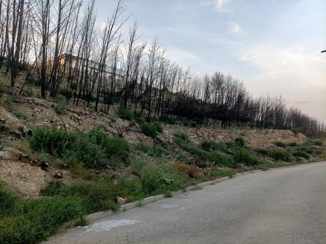 Terreno, El Pont de Vilomara i Rocafort
