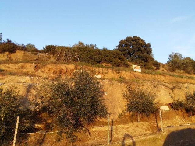 Terreno, El Pont de Vilomara i Rocafort