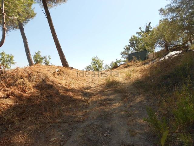 Terreno, El Pont de Vilomara i Rocafort