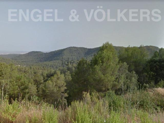 Terreno, El Pont de Vilomara i Rocafort