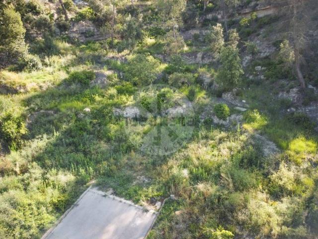 Terreno, El Pont de Vilomara i Rocafort