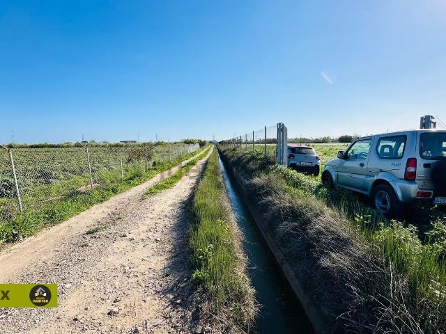 Terreno, El Prat de Llobregat