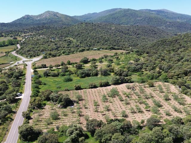Terreno, El Real de San Vicente