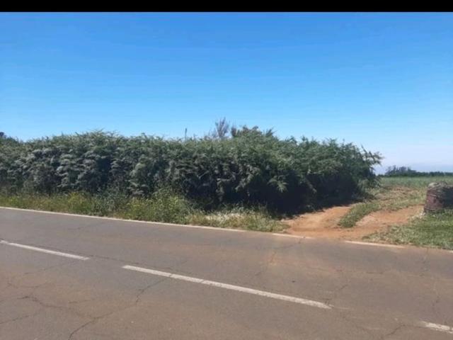 Terreno, El Rosario