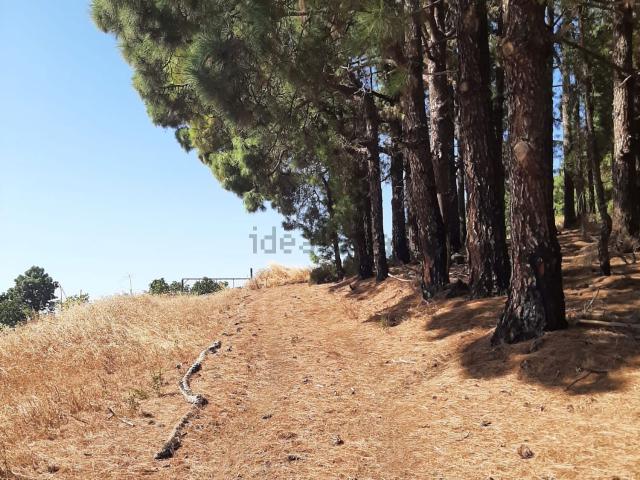 Terreno, El Rosario