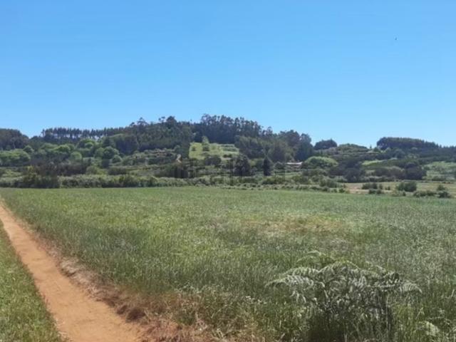 Terreno, El Rosario
