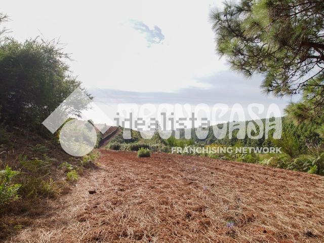 Terreno, El Rosario