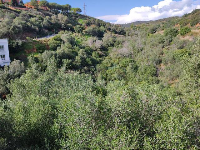 Terreno, El Rosario Ricmar, Marbella
