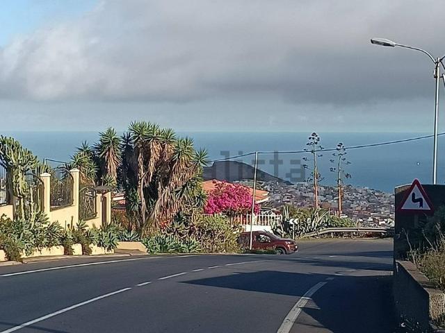 Terreno, El Sobradillo, Santa Cruz de Tenerife