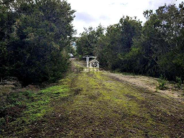 Terreno, El Tanque