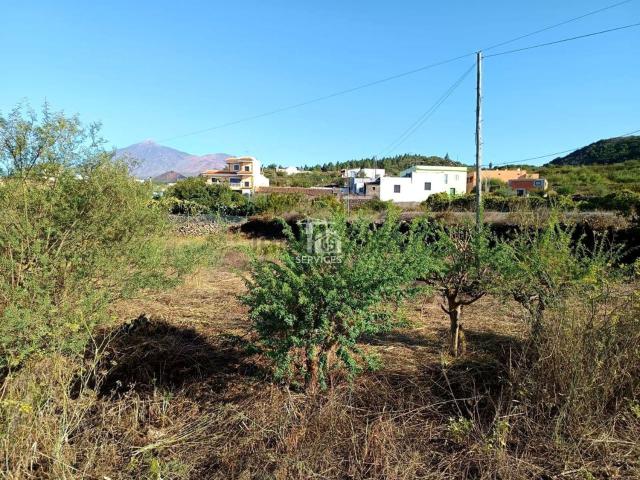 Terreno, El Tanque