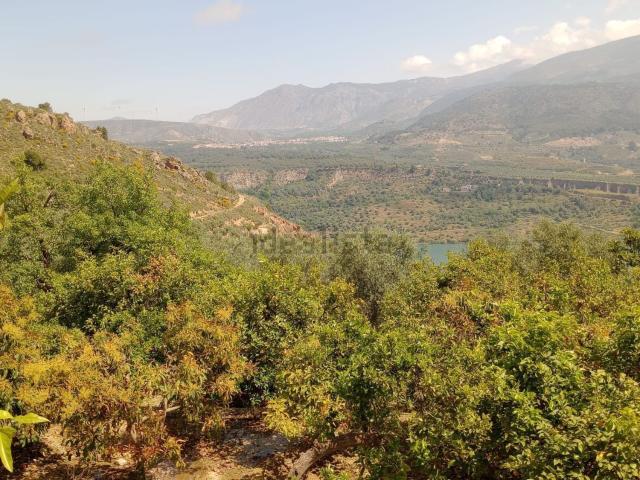Terreno, El Valle