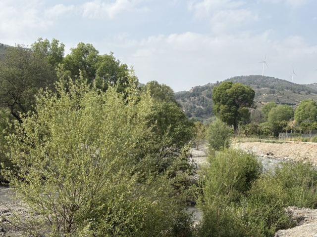 Terreno, El Valle