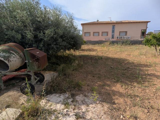 Terreno, El Vendrell