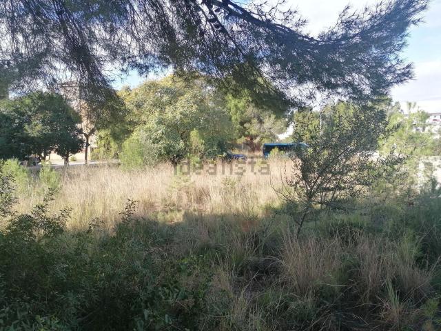Terreno, El Vendrell