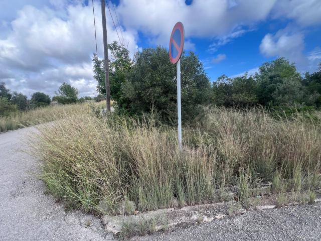Terreno, El Vendrell