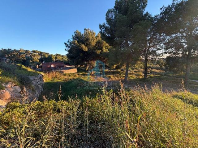 Terreno, El Vendrell