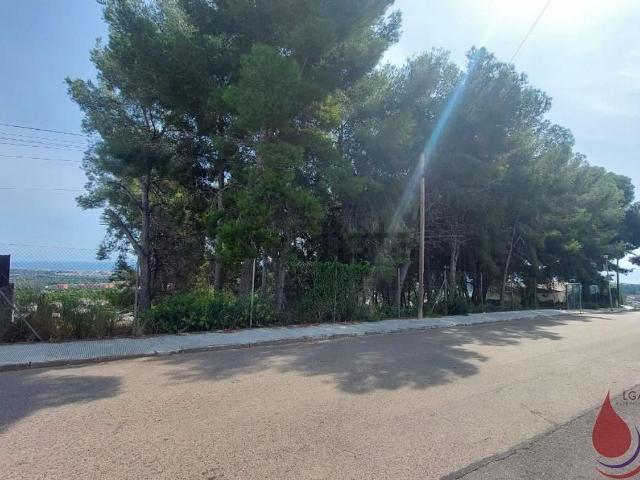 Terreno, El Vendrell