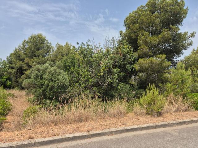 Terreno, El Vendrell